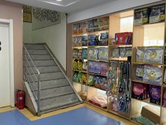 -天使宠物医院·犬猫分诊(彩虹店)