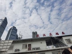 -武汉关码头(轮渡站)