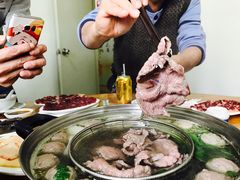 -原野牛肉岛