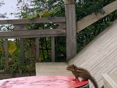 -西岭雪山大飞水景区