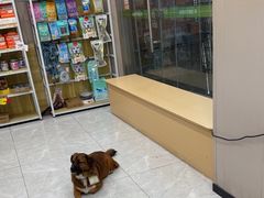 -瑞鹏宠物医院·超声·骨科·奇麟分院(蜀都万达店)