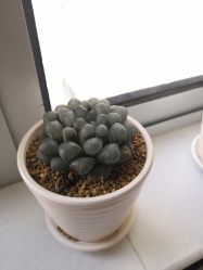 -玲珑秀身坊
