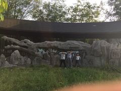 -中国扬子鳄村