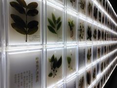 -广东中医药博物馆