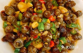 Spring River Snail