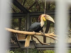 -上方山森林动物世界