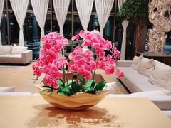 -上海佘山世茂艾美酒店