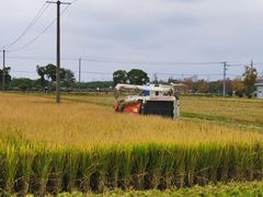 -嘉北郊野公园