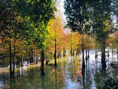 -南宁花花大世界景区