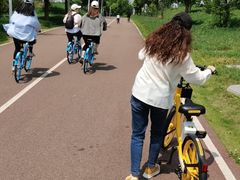 -白鹭湾湿地公园