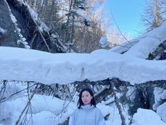 -峡谷浮石林景区