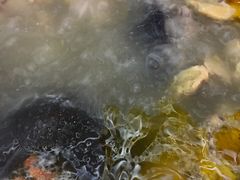 -新招鲜(桃浦路店)