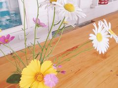 -田园东方蜜桃村的田野营地