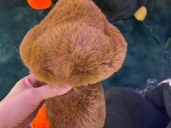 -国贸中心·国贸大厦三期