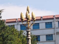 -河南省黄河迎宾馆