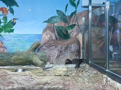 -海合安天津极地海洋公园