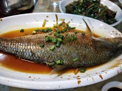 -红灯笼龙凤饭店(宁波老字号店)