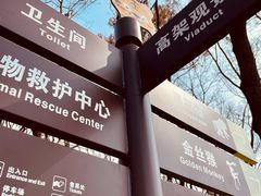 -合肥野生动物园