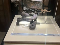 -南越王博物院