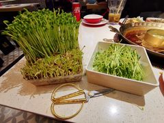 -蛙二爷美蛙火锅基地(温州总店)