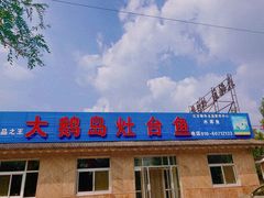 门面-大鹅岛灶台鱼·铁锅炖(水库路店)
