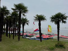 -碧海金沙
