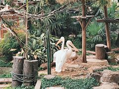 -红山森林动物园