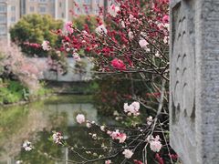 -南汇桃花村
