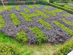 -曼格纳婚礼艺术中心(张江店)