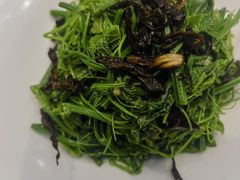 油鸡枞办丝瓜尖-一品滇香·云南菜(公益西桥店)