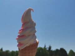 -济南国际园博园