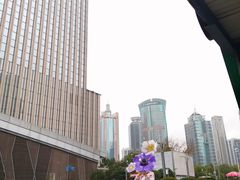 -上海中心大厦