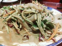-邵年鸽(杨庄店)