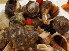 捞汁海螺-雅逸居海鲜小厨