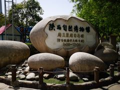 -陕西自然博物馆