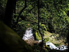 -碧峰峡风景区