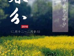 节气-肯德基(新八一店)