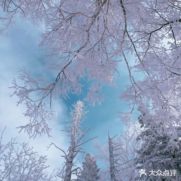 雪乡交通最实用攻略:（一）离雪乡最近的高铁站