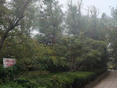 -贮水山儿童公园