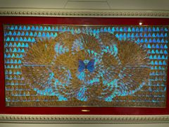 -上海昆虫博物馆