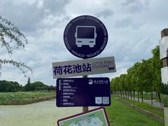 -嘉北郊野公园