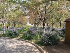 -古柏渡飞黄旅游区