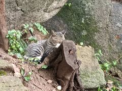 -崂山巨峰游览区