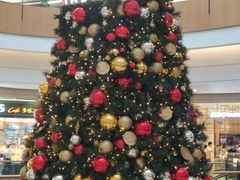 -瑞尔齿科(颐堤港诊所)