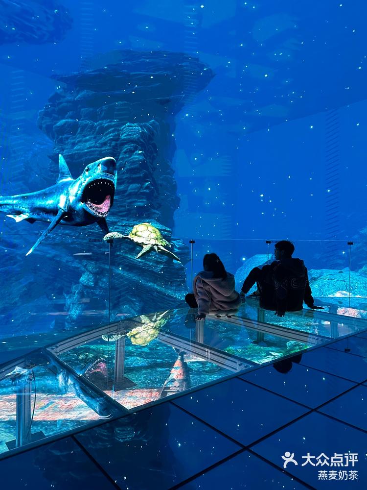 在湛江海洋之旅
