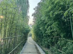 -白鹿原影视城