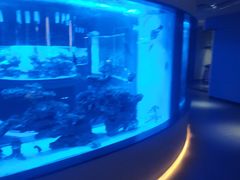 -上和臻品中国菜(花园街店)