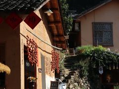 -杨家堂村