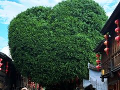 -三坊七巷历史文化街区