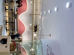 -喵园·猫主题咖啡厅·撸猫·猫咖(国贸店)